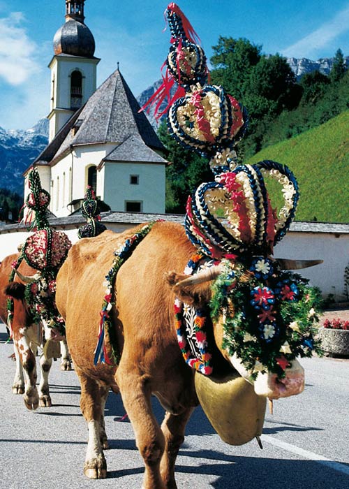 Almbetrieb in Berchtesgaden Almbetrieb in Berchtesgaden